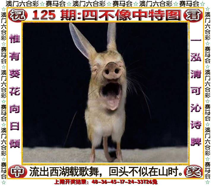 2024125期四不像中特图