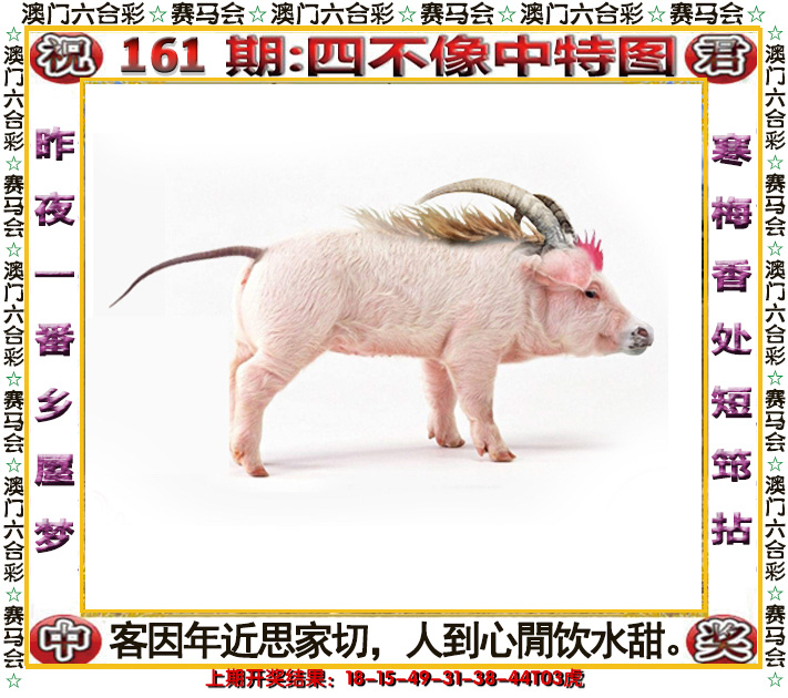 2024161期四不像中特图