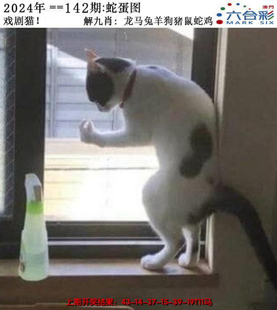 2024142期正版蛇蛋图