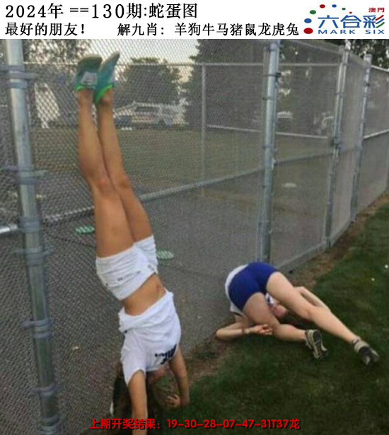 2024130期正版蛇蛋图