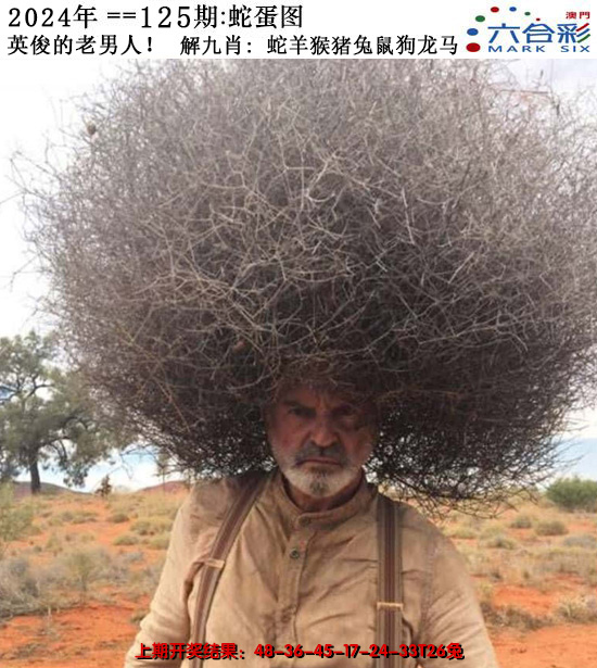 2024125期正版蛇蛋图