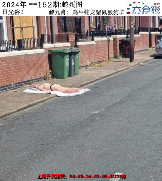 2024152期正版蛇蛋图