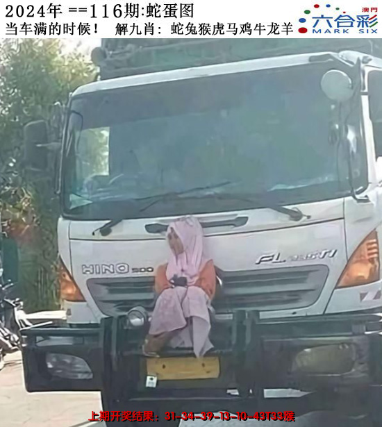 2024116期正版蛇蛋图
