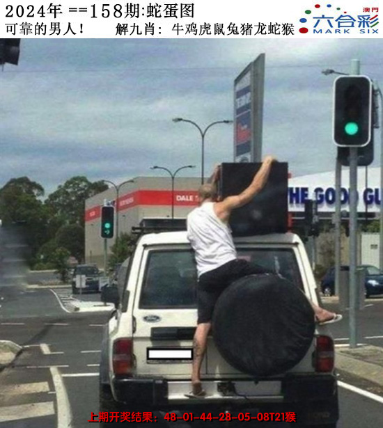2024158期正版蛇蛋图