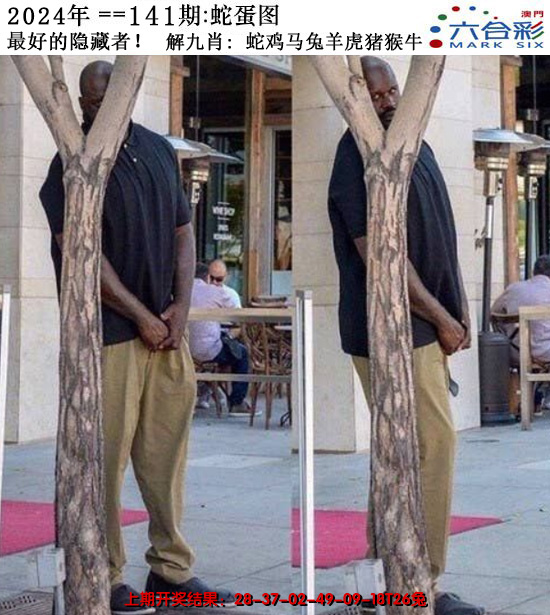 2024141期正版蛇蛋图