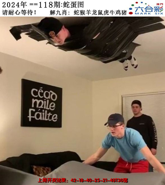 2024118期正版蛇蛋图