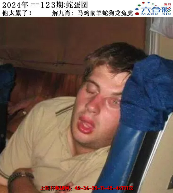 2024123期正版蛇蛋图