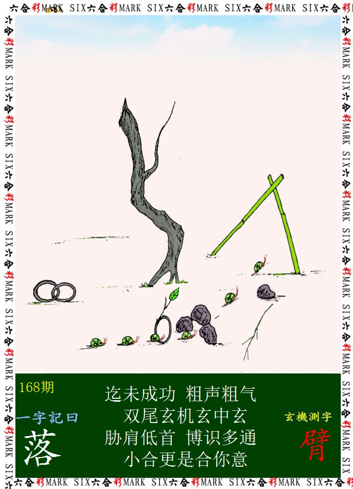 2024168期悟入其图