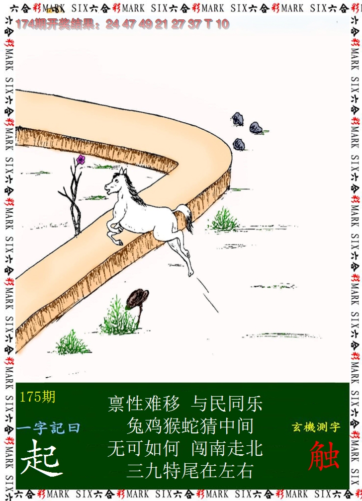 2024175期悟入其图