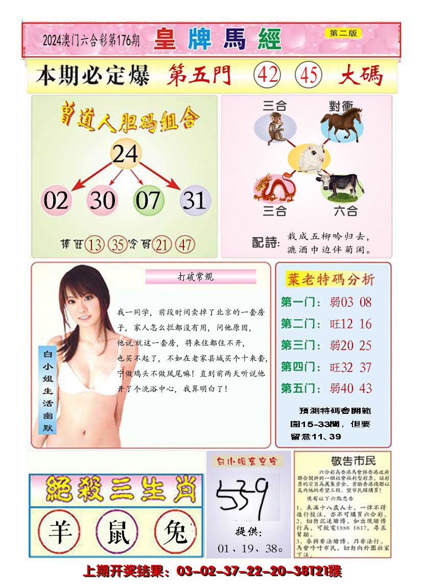 2024176期澳门皇牌马经B