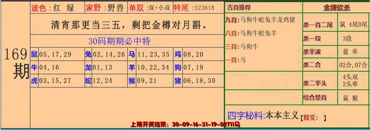 2024169期30码中特