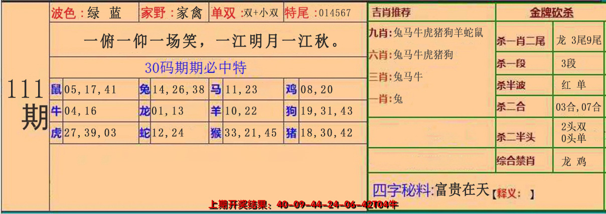 2024111期30码中特