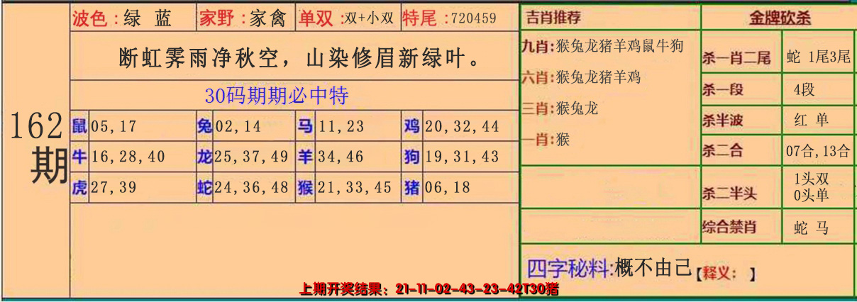 2024162期30码中特