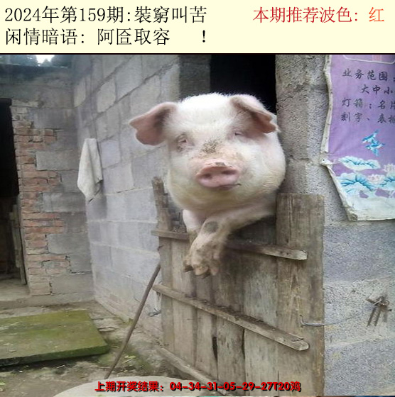 2024159期今日闲情2