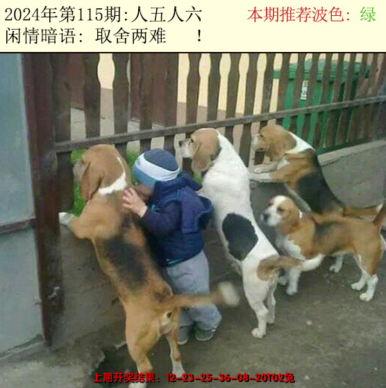 2024115期今日闲情2