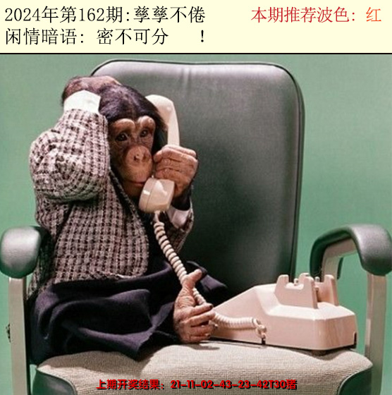 2024162期今日闲情2
