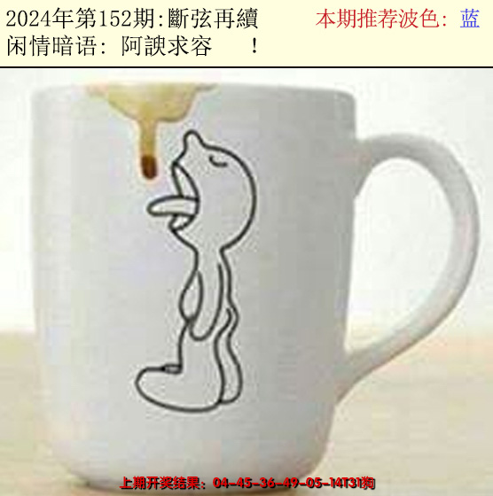 2024152期今日闲情2