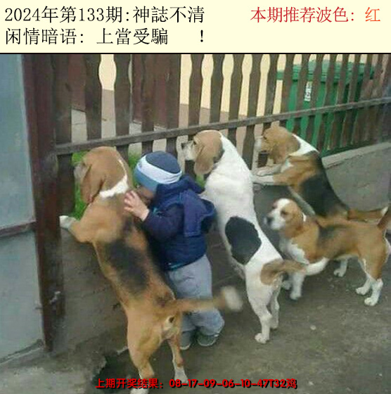 2024133期今日闲情2