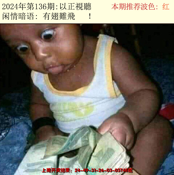 2024136期今日闲情2