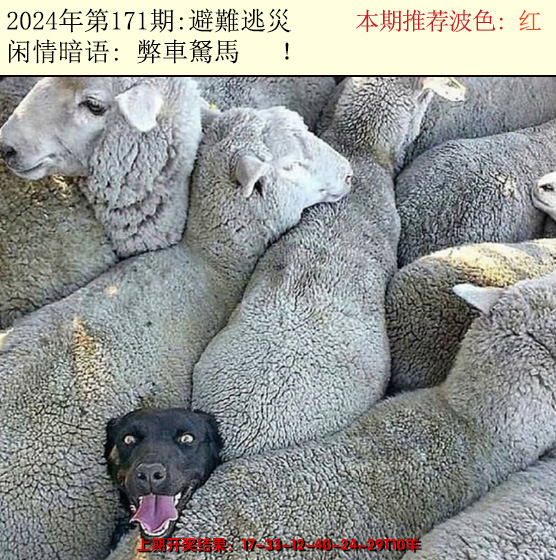 2024171期今日闲情2
