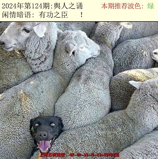 2024124期今日闲情2