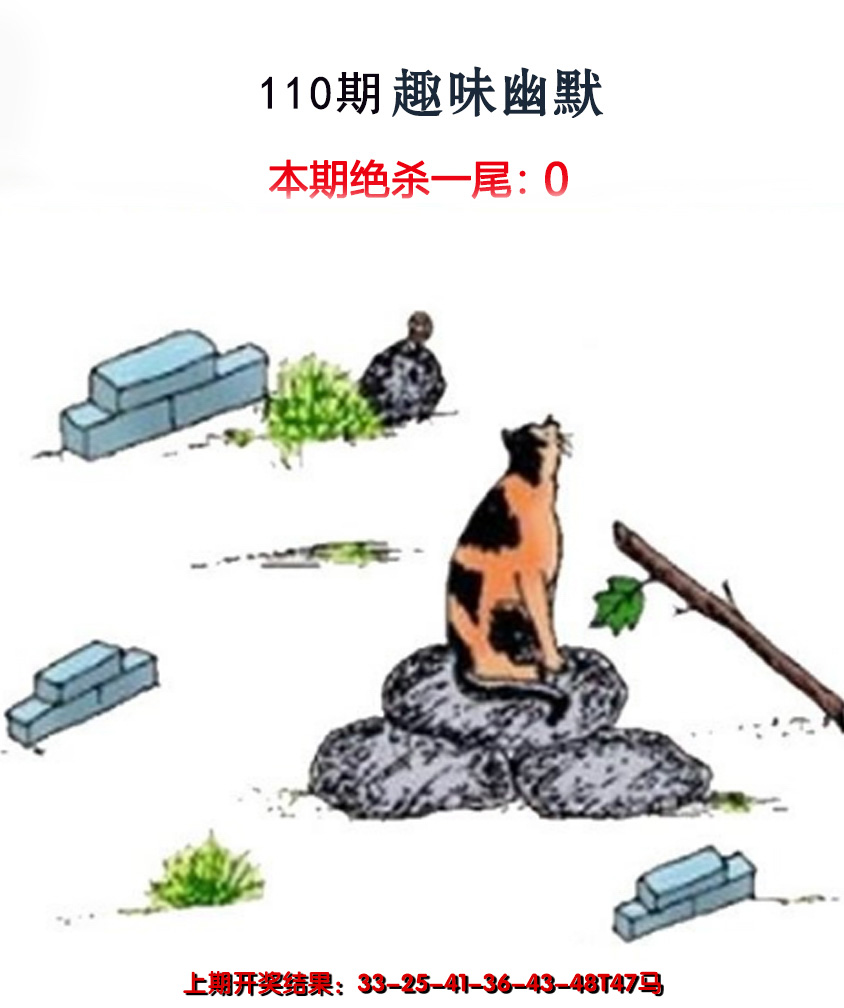 2024110期趣味幽默