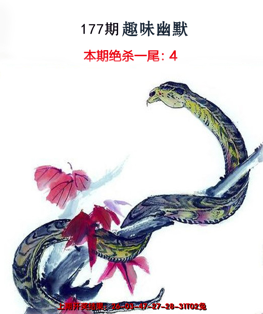 2024177期趣味幽默