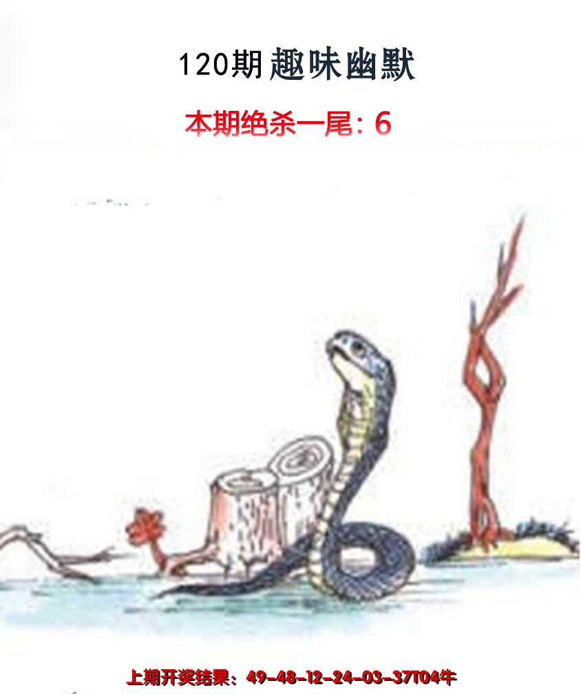 2024120期趣味幽默