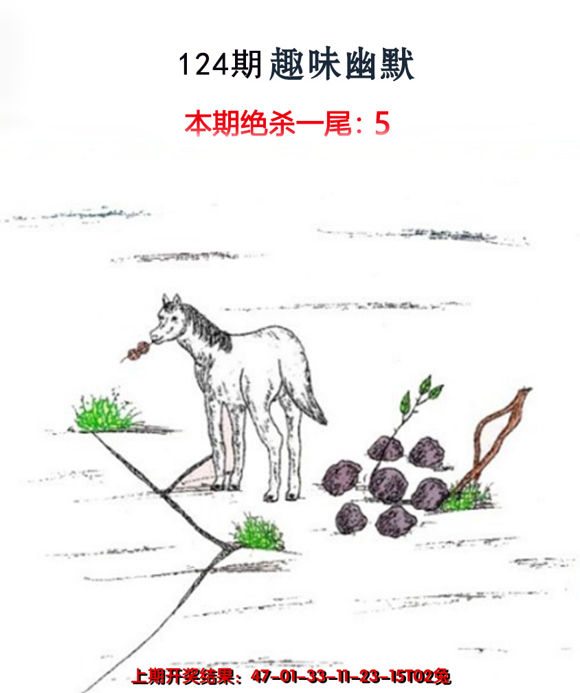 2024124期趣味幽默