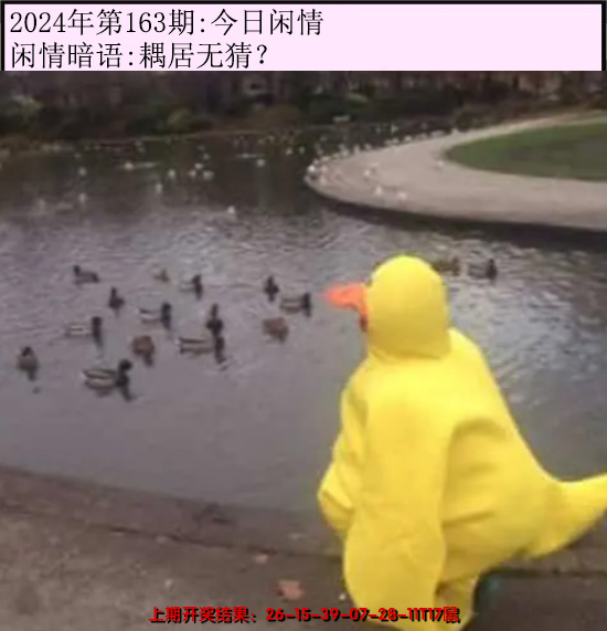 2024163期今日闲情