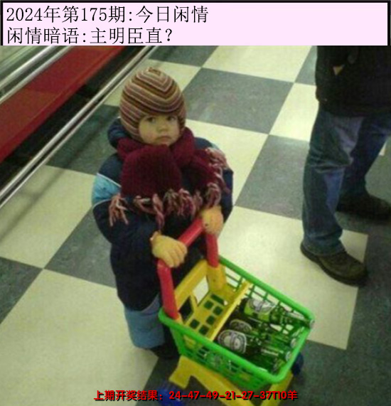 2024175期今日闲情