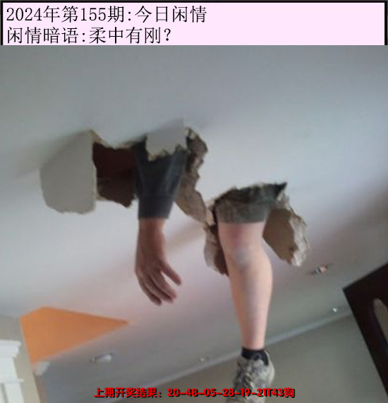2024155期今日闲情
