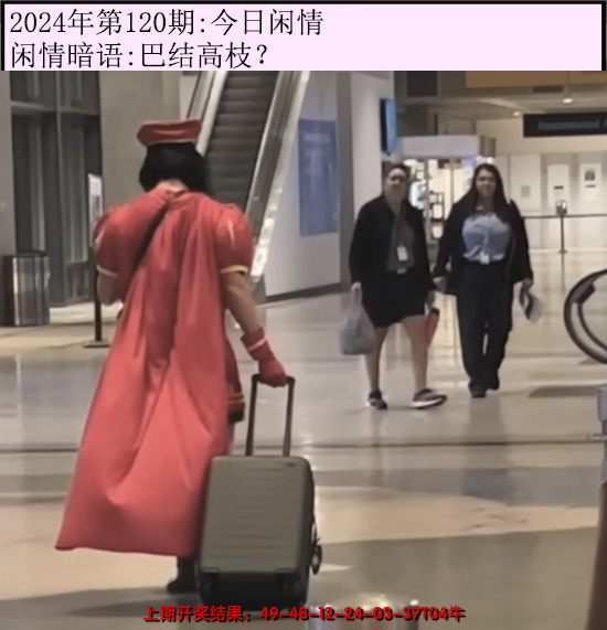 2024120期今日闲情