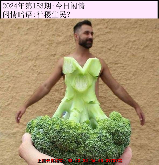2024153期今日闲情