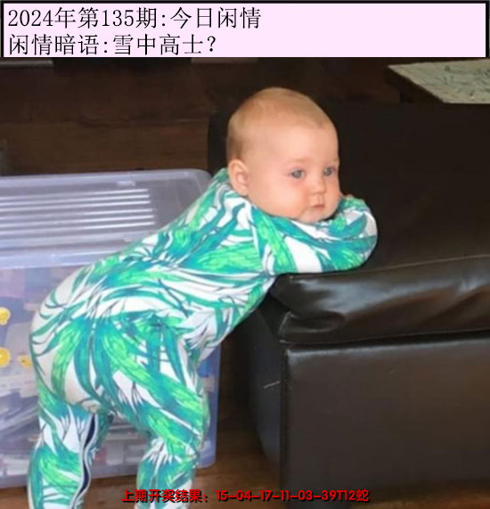 2024135期今日闲情