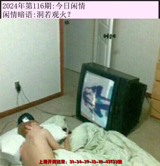 2024116期今日闲情