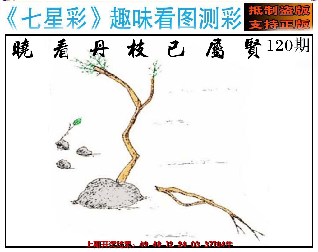 2024120期澳版七星彩图