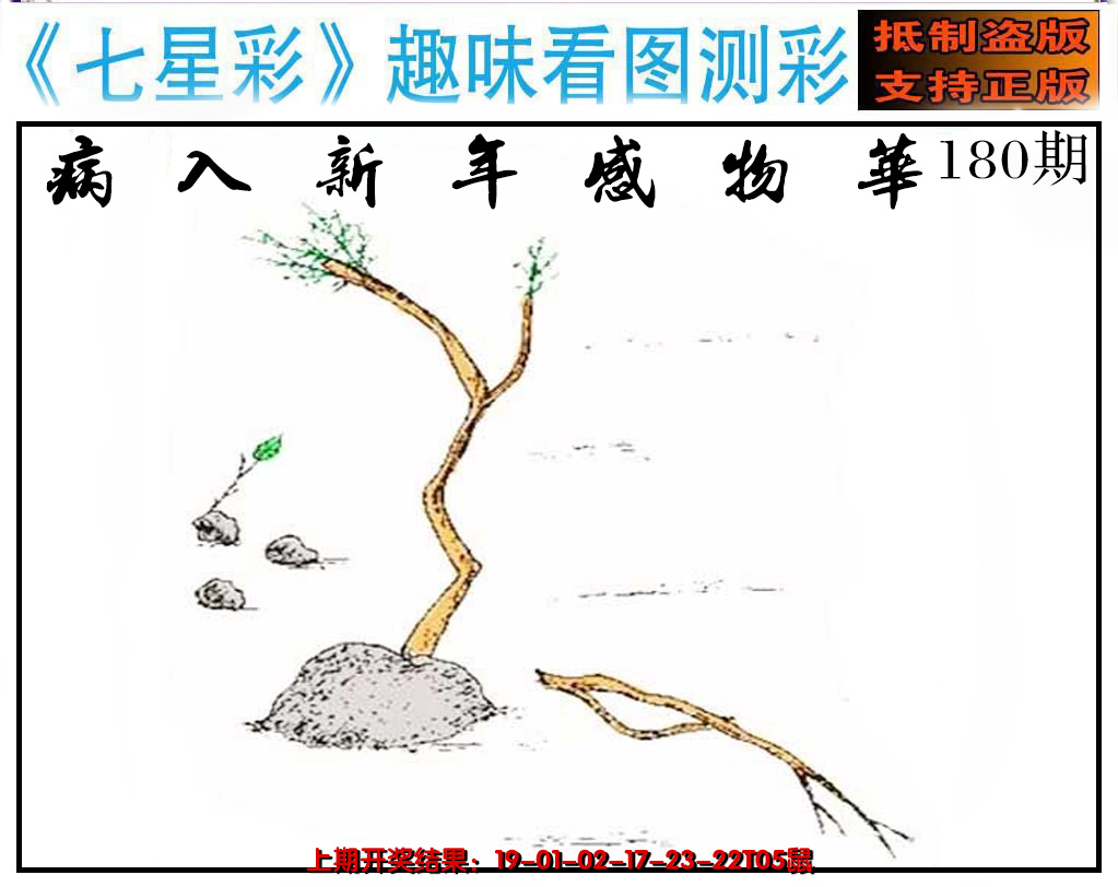 2024180期澳版七星彩图
