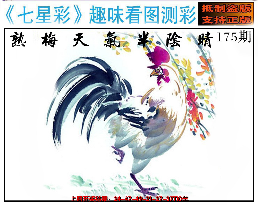 2024175期澳版七星彩图