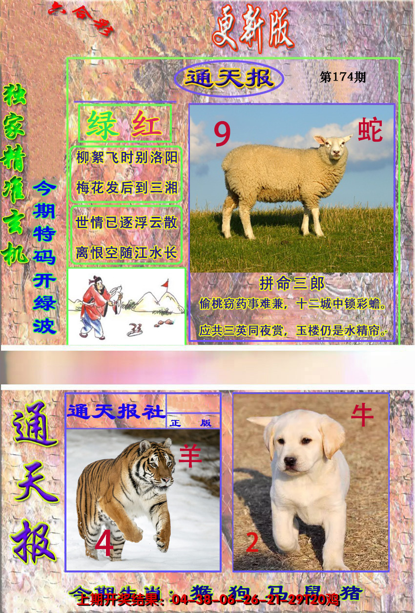 2024174期新通报