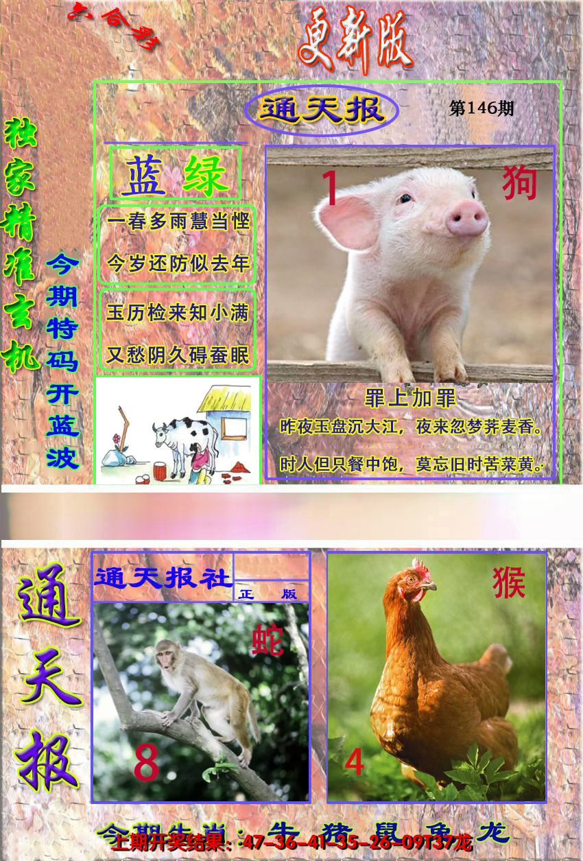 2024146期新通报
