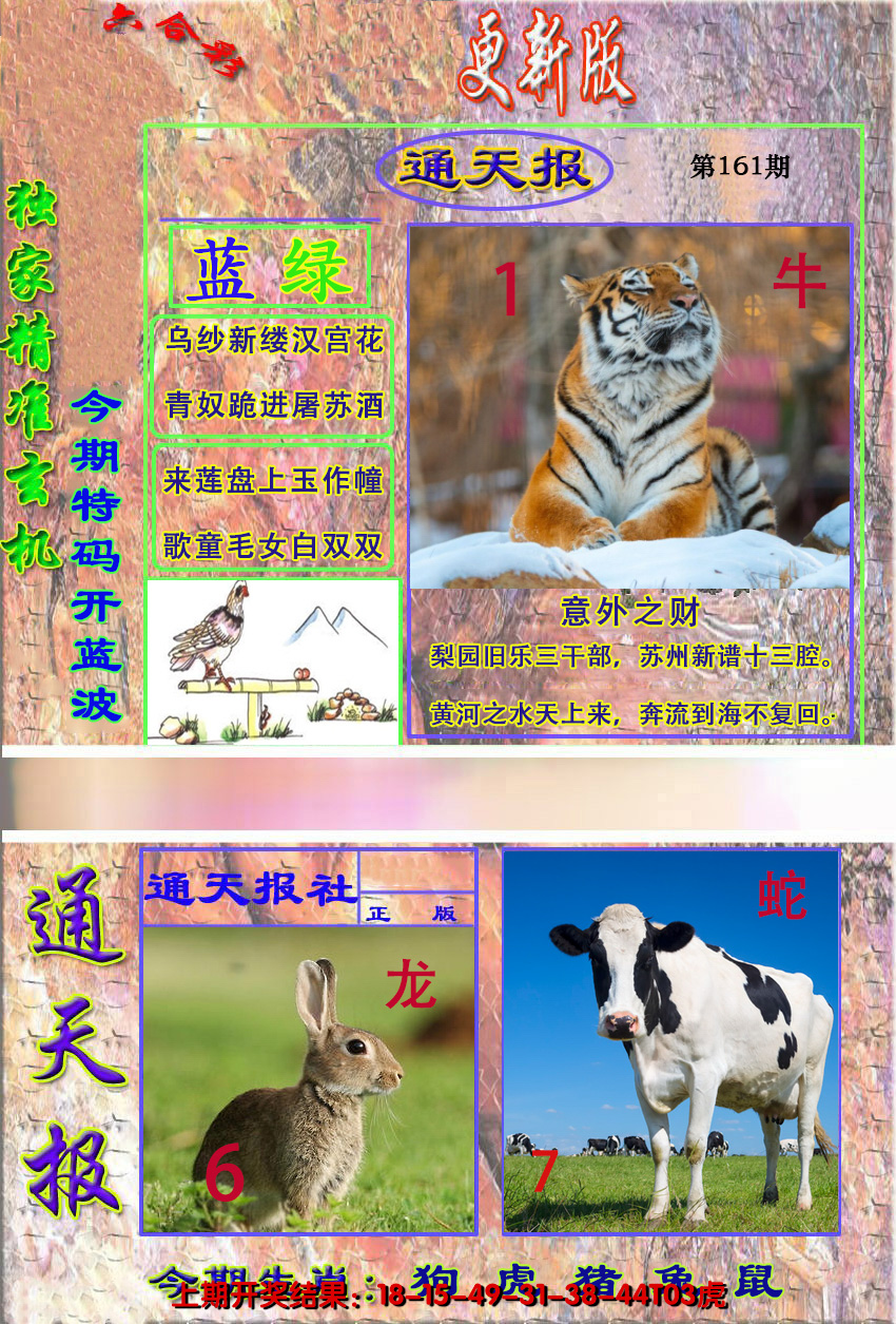 2024161期新通报