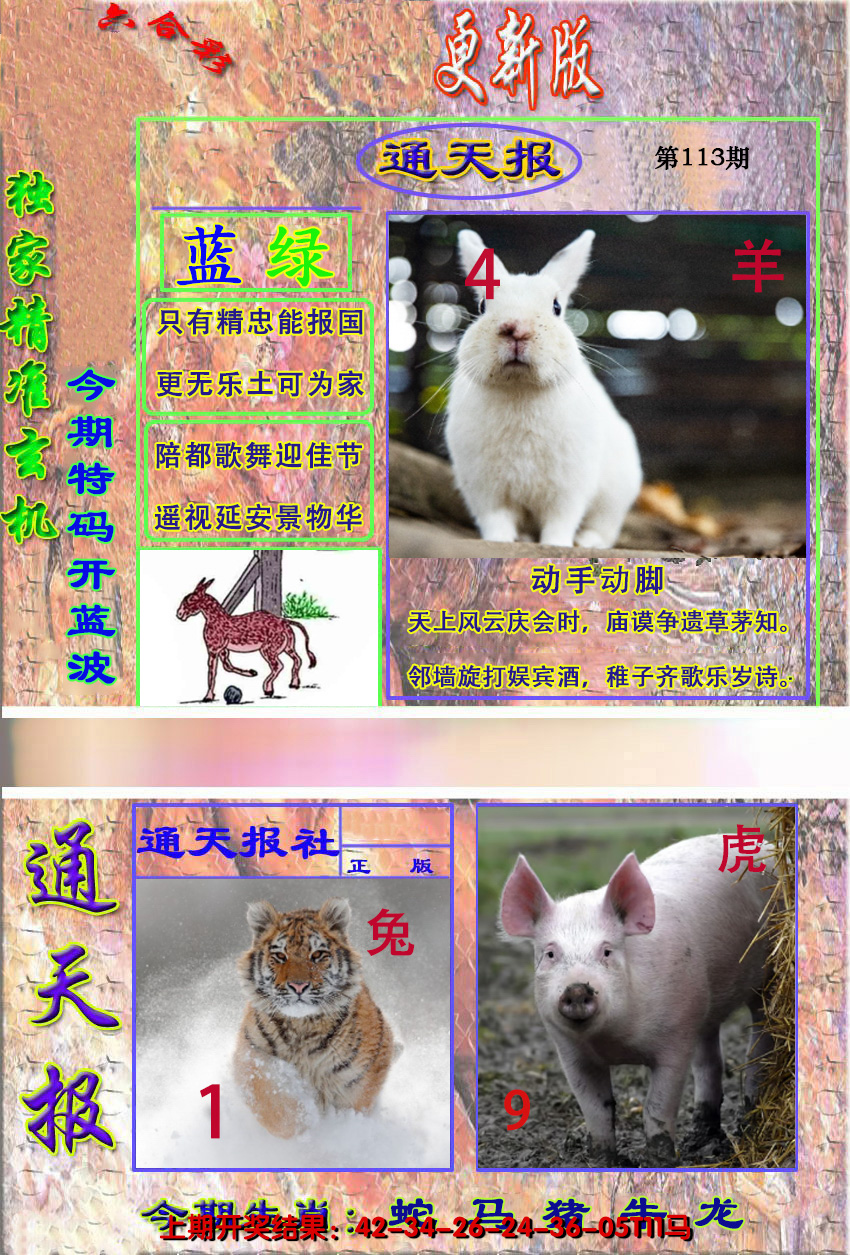 2024113期新通报