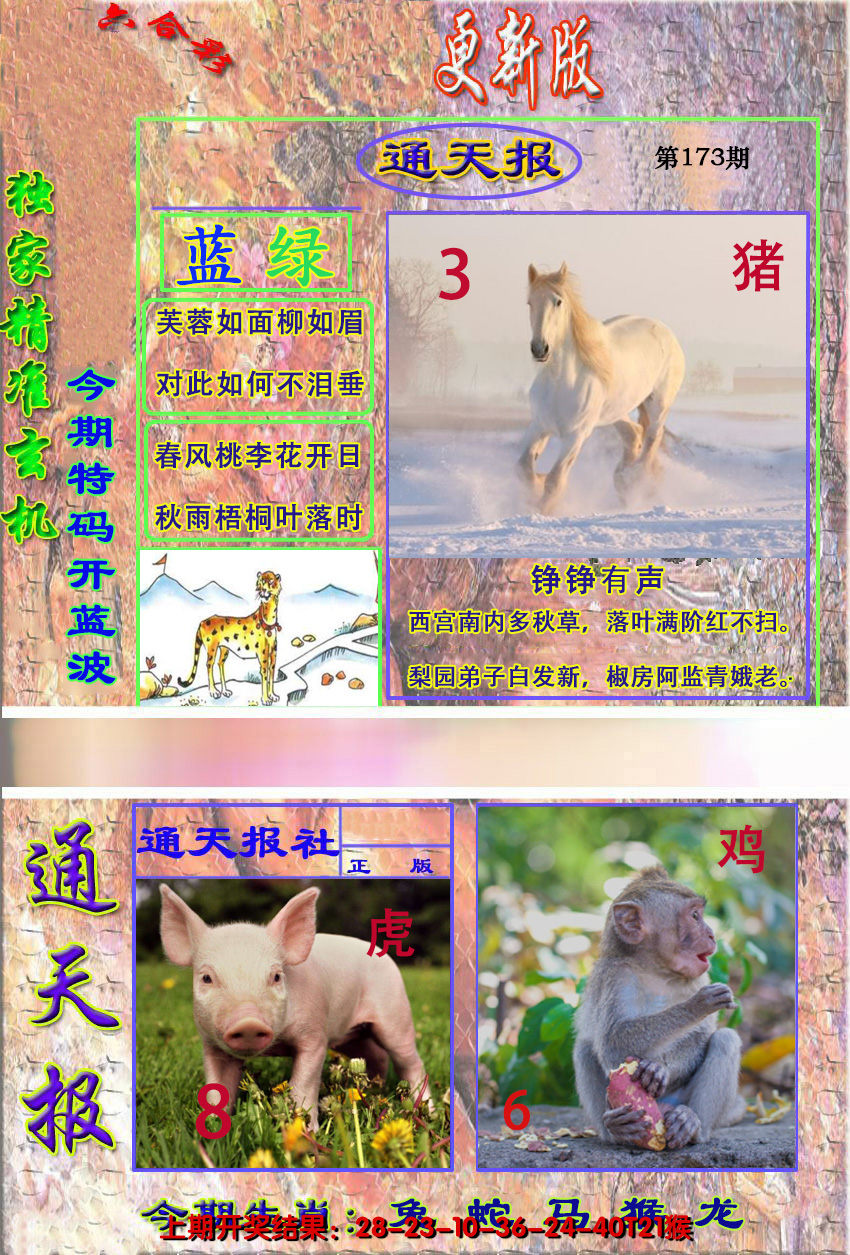 2024173期新通报