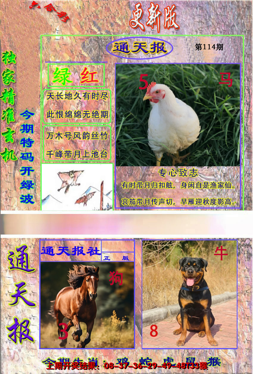 2024114期新通报