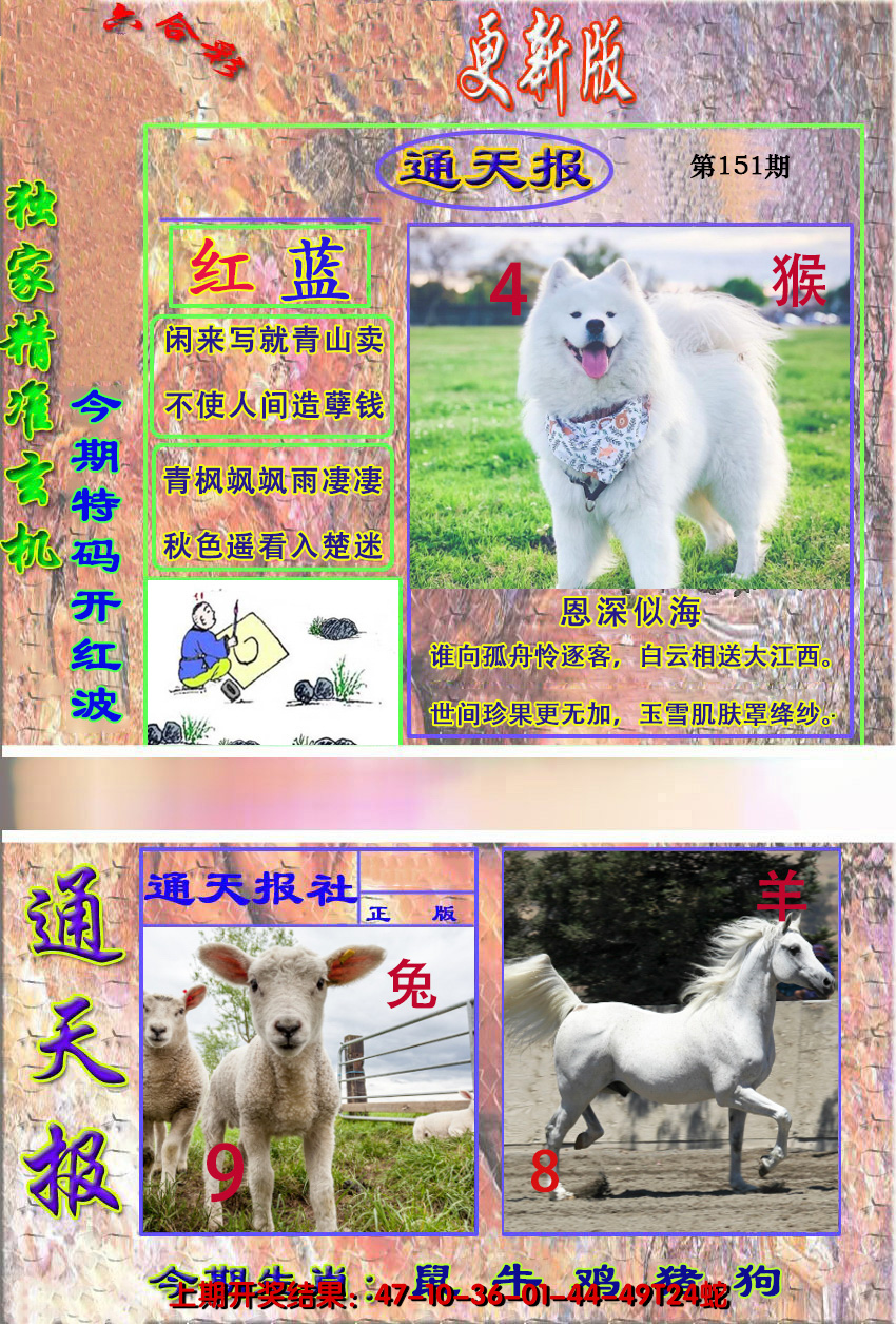 2024151期新通报