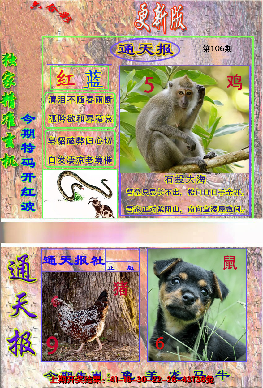 2024106期新通报