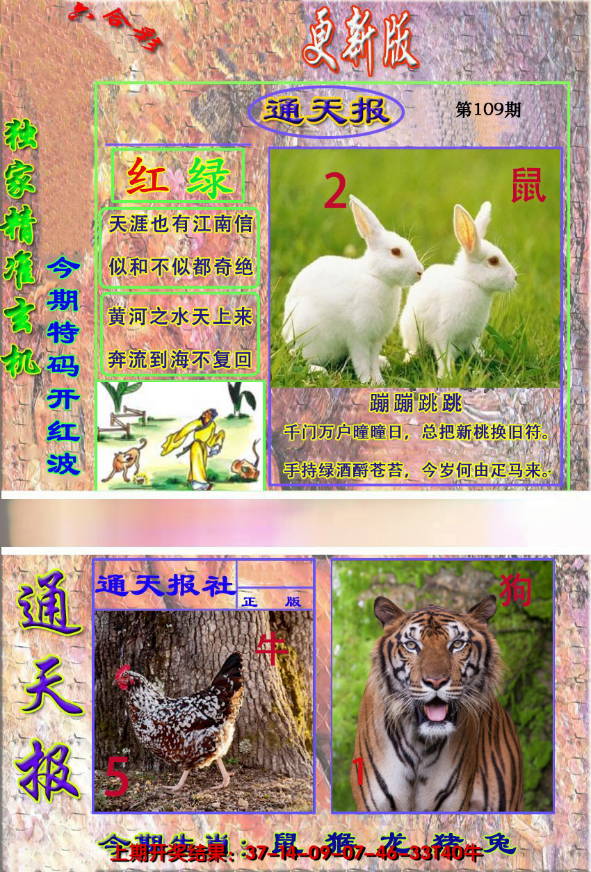 2024109期新通报