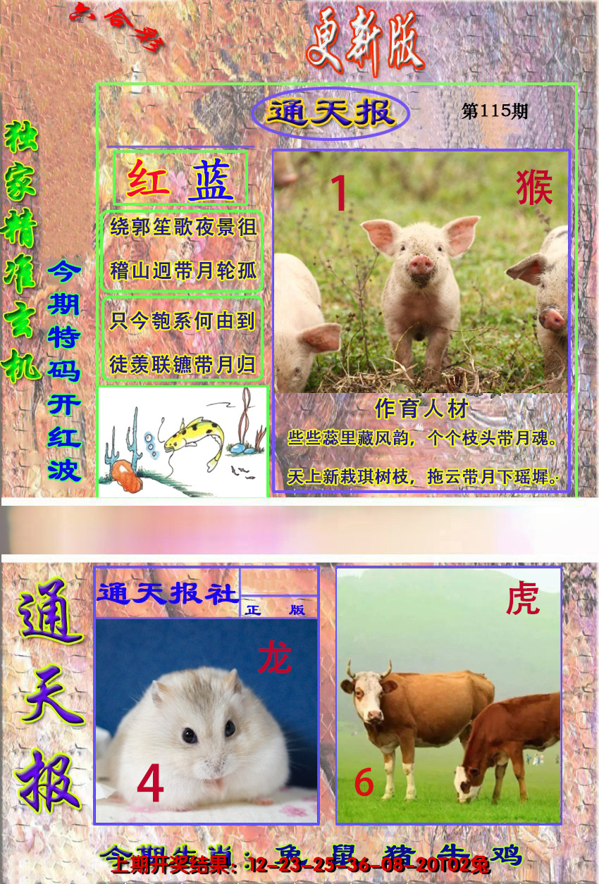 2024115期新通报