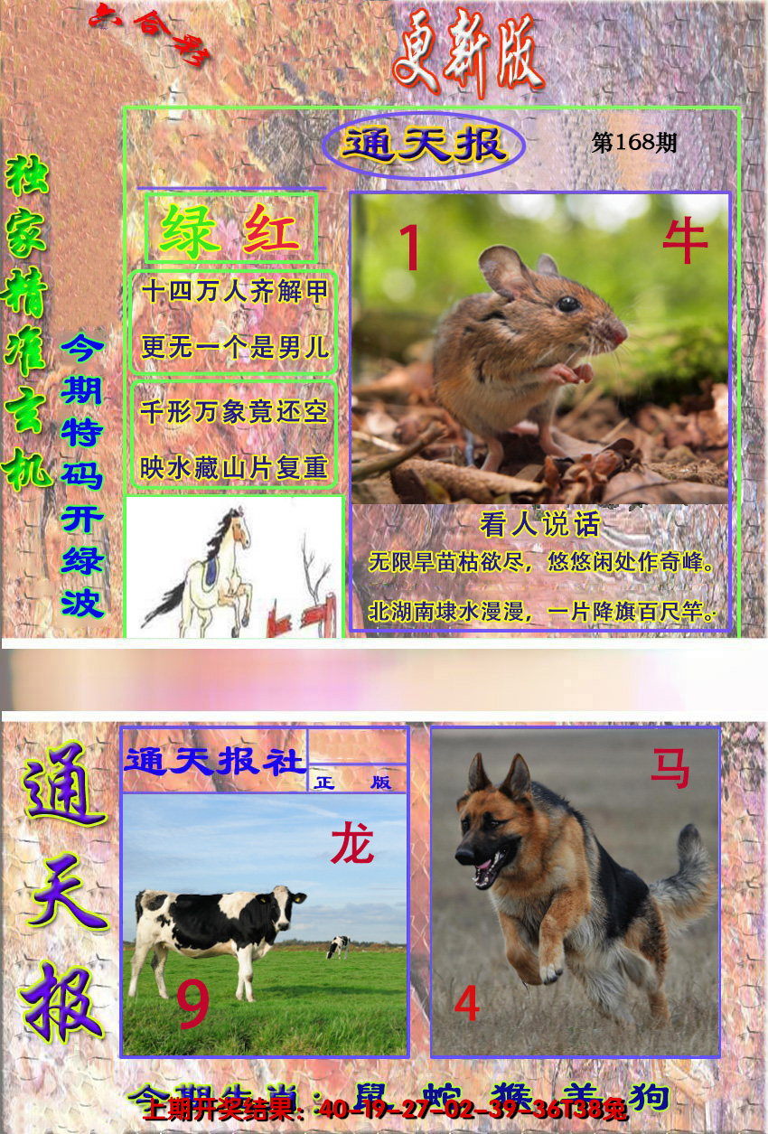 2024168期新通报